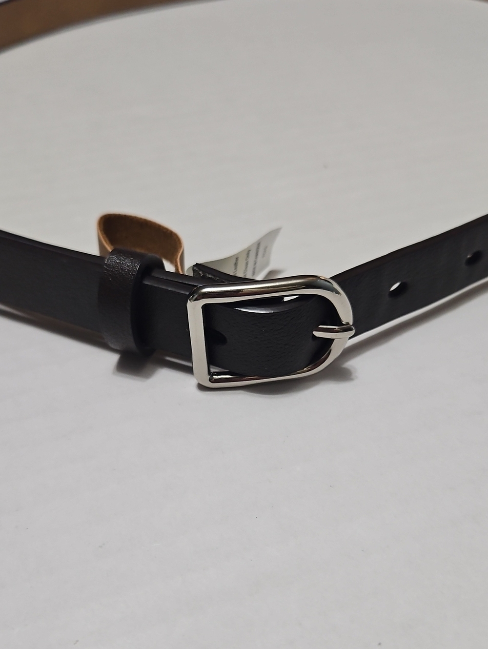Lauren Conrad Women's Classic  Dark Brown Belt with Silver Buckle Size L